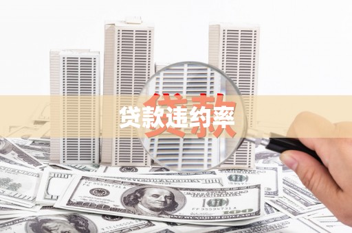 城关贷款违约率