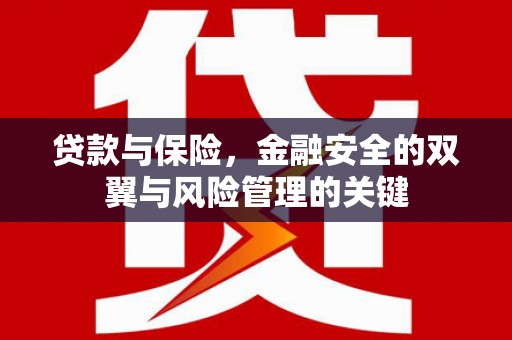 城关贷款与保险，金融安全的双翼与风险管理的关键