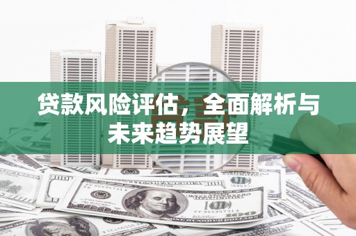 城关贷款风险评估，全面解析与未来趋势展望