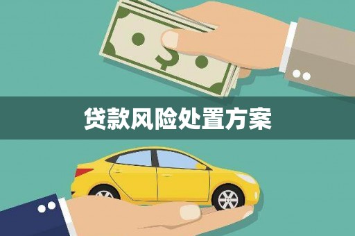 城关贷款风险处置方案
