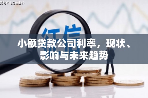 城关小额贷款公司利率，现状、影响与未来趋势