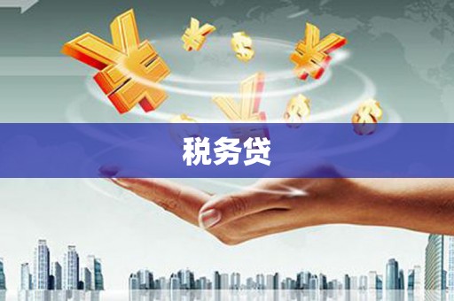 城关税务贷