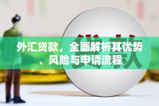 城关外汇贷款，全面解析其优势、风险与申请流程