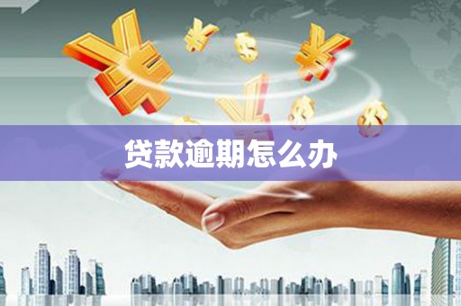 城关贷款逾期怎么办