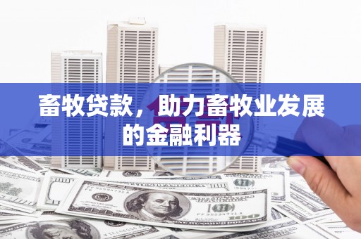 城关畜牧贷款，助力畜牧业发展的金融利器