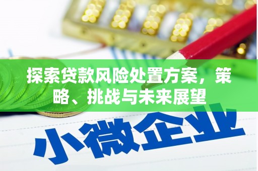城关探索贷款风险处置方案，策略、挑战与未来展望