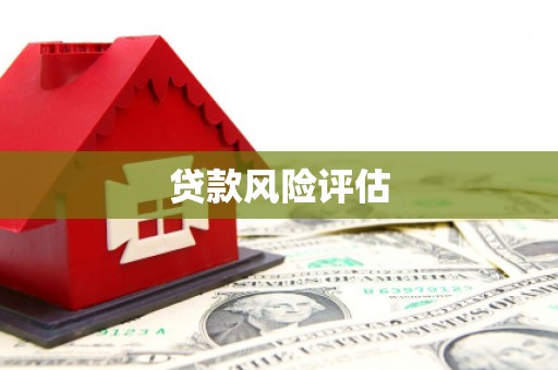 城关贷款风险评估
