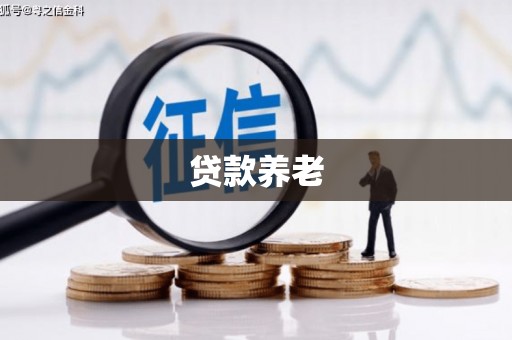 城关贷款养老