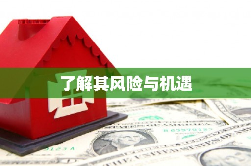 城关了解其风险与机遇