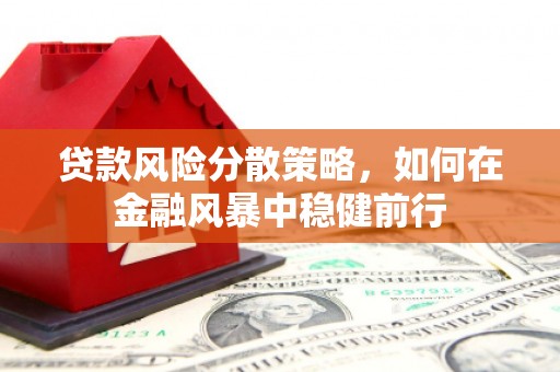 城关贷款风险分散策略，如何在金融风暴中稳健前行