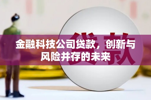 城关金融科技公司贷款，创新与风险并存的未来