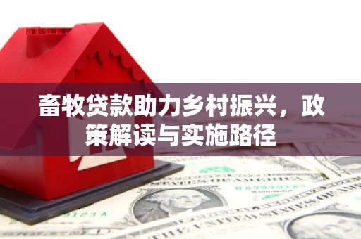 城关畜牧贷款助力乡村振兴，政策解读与实施路径