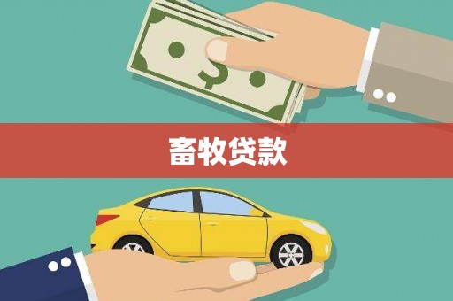 城关畜牧贷款