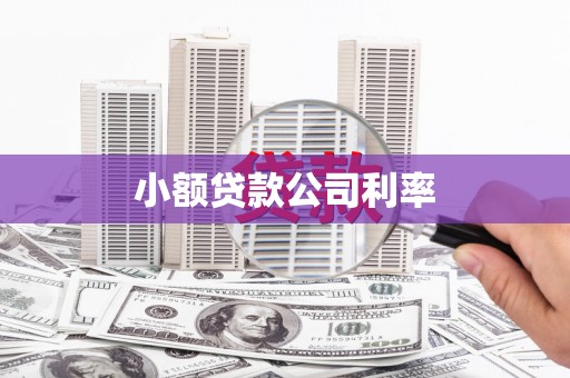 城关小额贷款公司利率