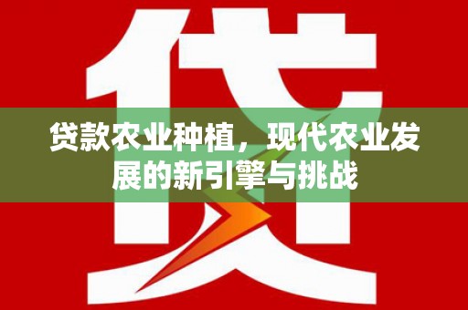 城关贷款农业种植，现代农业发展的新引擎与挑战