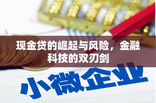 城关现金贷的崛起与风险，金融科技的双刃剑