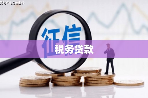 城关税务贷款