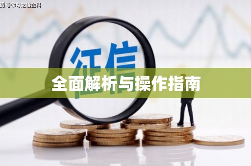 城关全面解析与操作指南