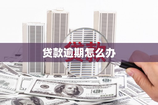 城关贷款逾期怎么办