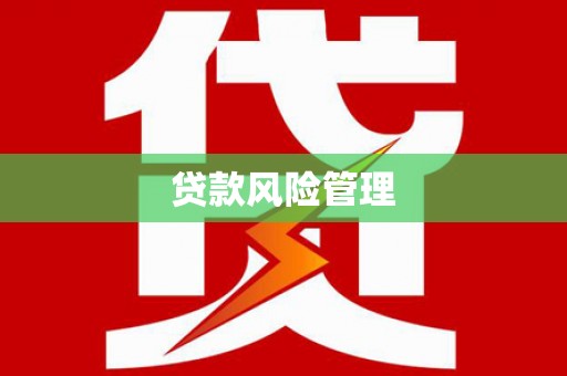 城关贷款风险管理