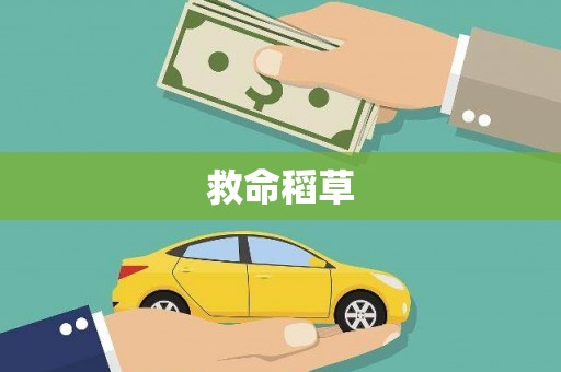 城关救命稻草