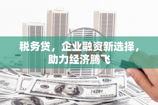 城关税务贷，企业融资新选择，助力经济腾飞