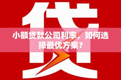 城关小额贷款公司利率，如何选择最优方案？