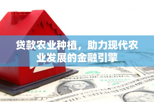 城关贷款农业种植，助力现代农业发展的金融引擎