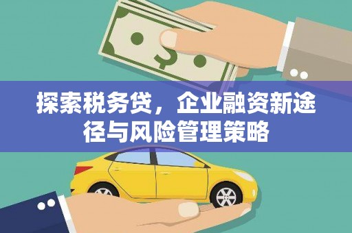 城关探索税务贷，企业融资新途径与风险管理策略