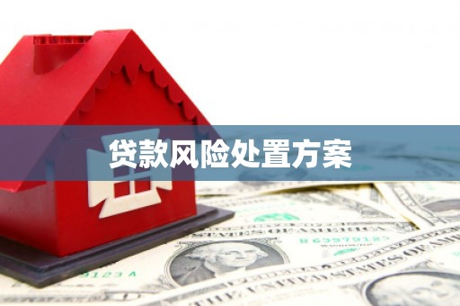 城关贷款风险处置方案