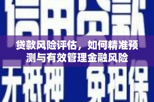 城关贷款风险评估，如何精准预测与有效管理金融风险
