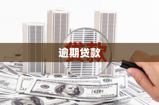 城关逾期贷款