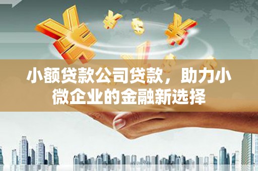城关小额贷款公司贷款，助力小微企业的金融新选择