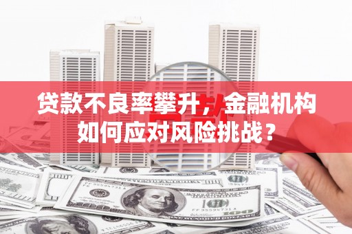 城关贷款不良率攀升，金融机构如何应对风险挑战？
