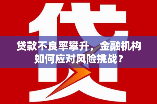 城关贷款不良率攀升，金融机构如何应对风险挑战？