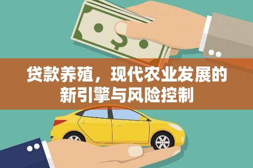 城关贷款养殖，现代农业发展的新引擎与风险控制