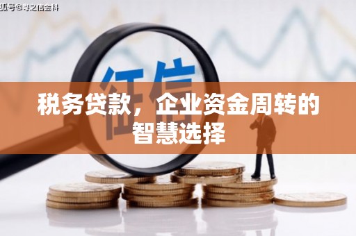 城关税务贷款，企业资金周转的智慧选择