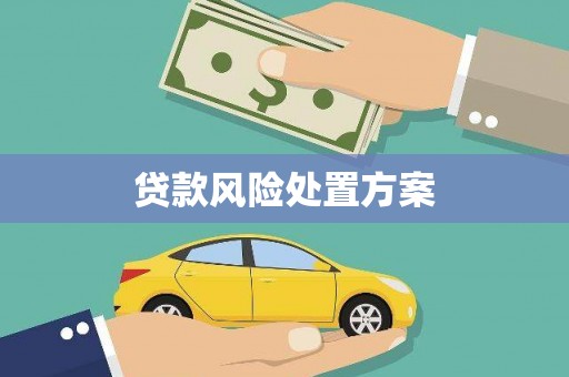 城关贷款风险处置方案