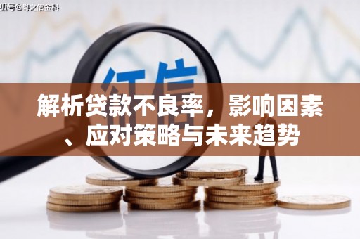 城关解析贷款不良率，影响因素、应对策略与未来趋势