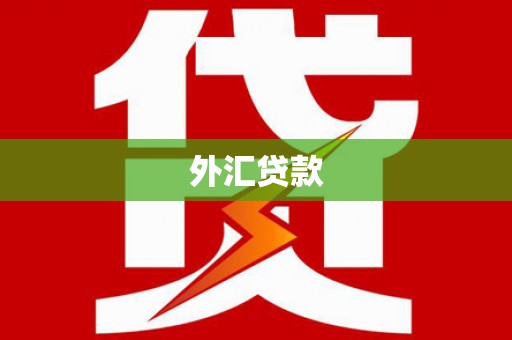 城关外汇贷款