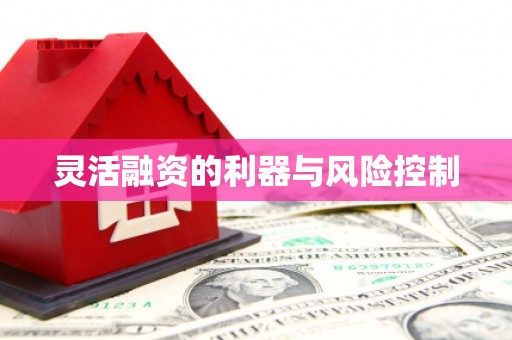 城关灵活融资的利器与风险控制