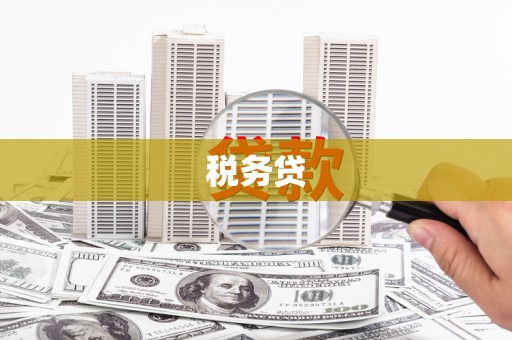 城关税务贷