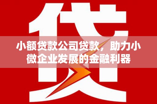 城关小额贷款公司贷款，助力小微企业发展的金融利器