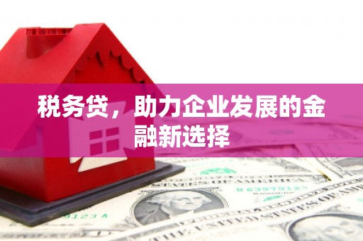 城关税务贷，助力企业发展的金融新选择