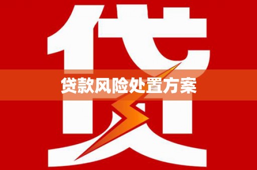 城关贷款风险处置方案