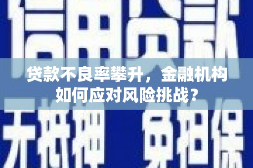 城关贷款不良率攀升，金融机构如何应对风险挑战？