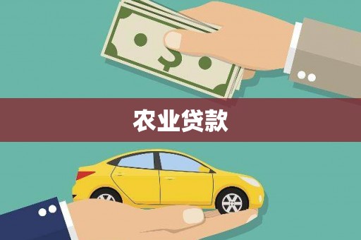 城关农业贷款