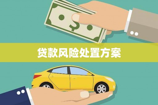 城关贷款风险处置方案