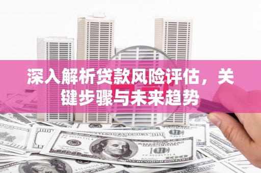 城关深入解析贷款风险评估，关键步骤与未来趋势