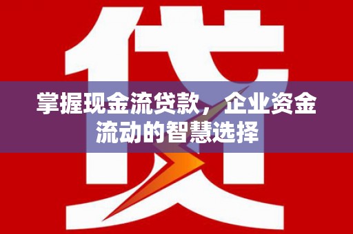 城关掌握现金流贷款，企业资金流动的智慧选择